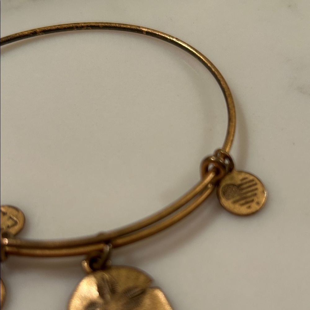 alex and ani Gold Charm Bangle Bracelet - Picture 3 of 4